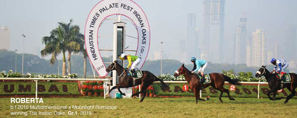 Slider-Classic-Wins2