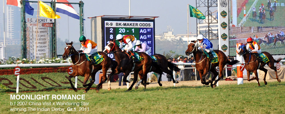 Slider-Classic-Wins3