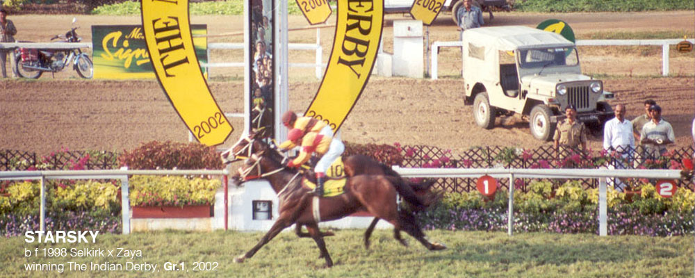 Slider-Classic-Wins4