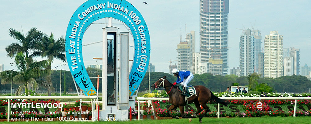 Slider-Classic-Wins5