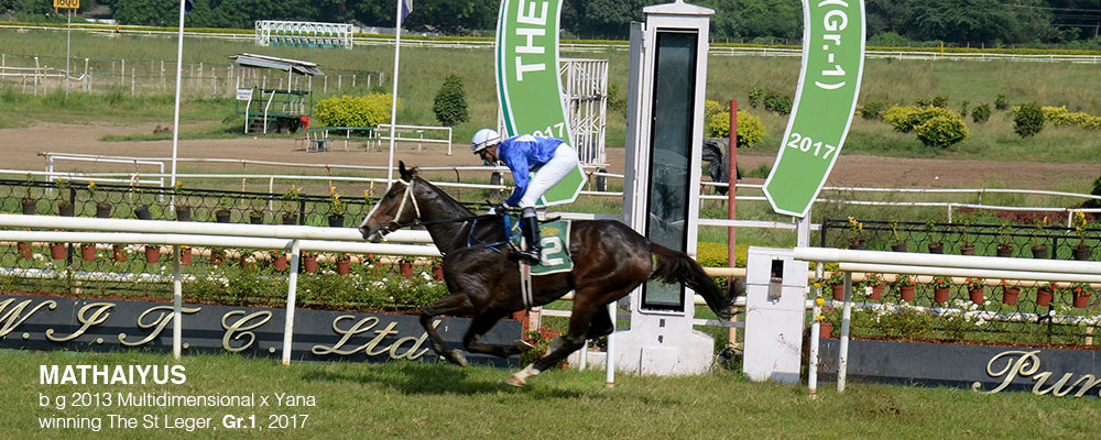 Slider-Classic-Wins6