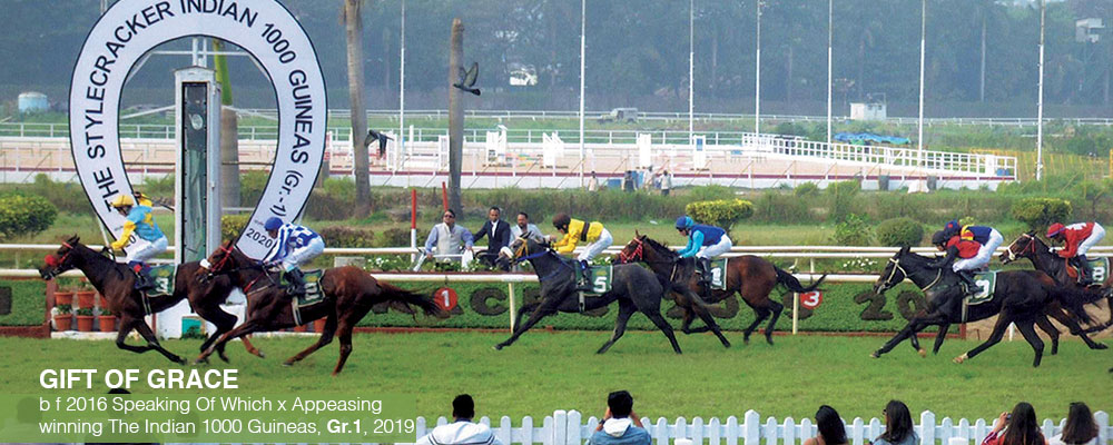 Slider-Classic-Wins7