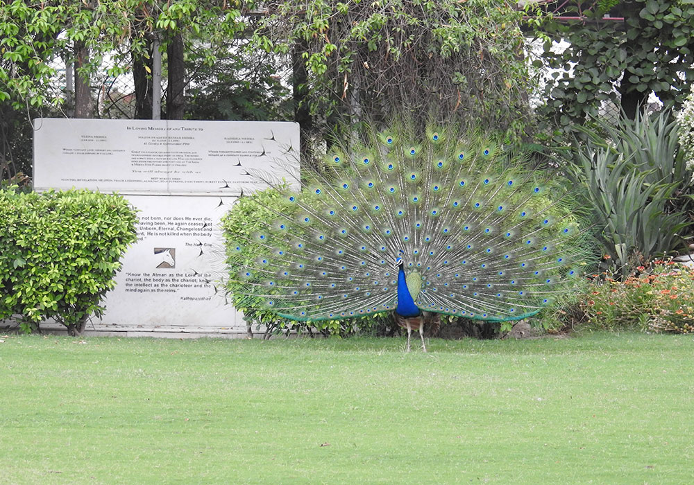 Slider-Infastructure2