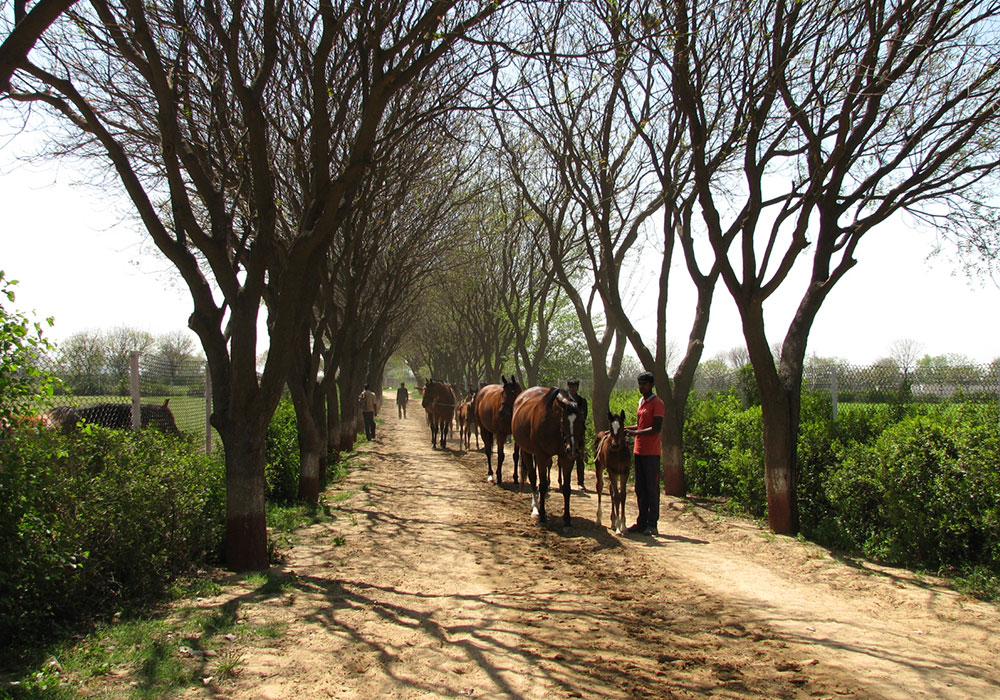 Slider-Infastructure3