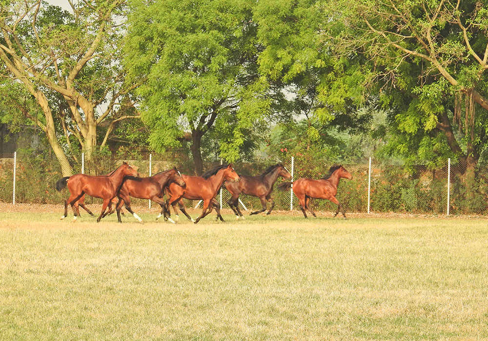 Slider-Infastructure4