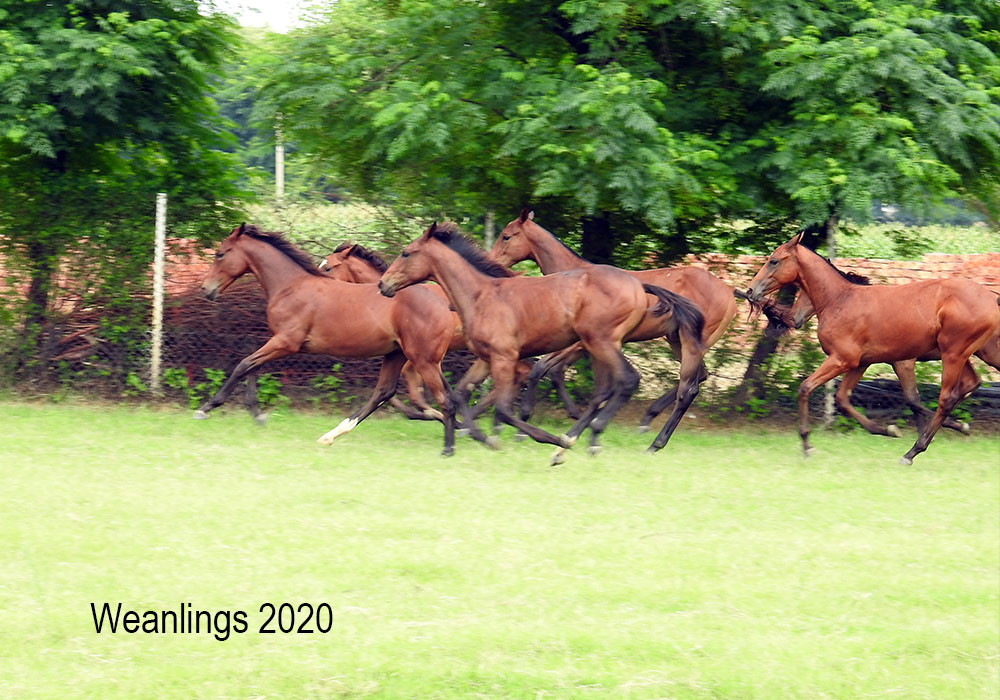 Slider-Infastructure1