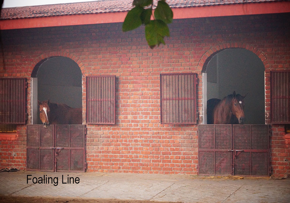 Slider-Infastructure